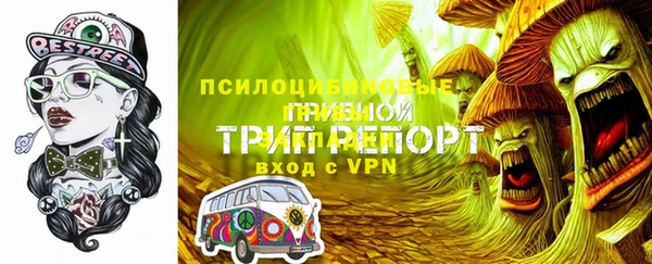 спайс Богородицк