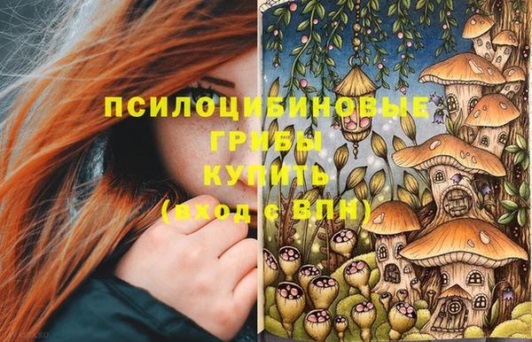 apvp Богданович
