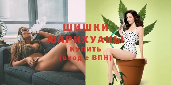 apvp Богданович