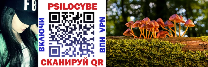 Галлюциногенные грибы Cubensis Гурьевск