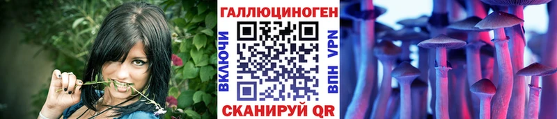 Купить закладки  Гурьевск  Галлюциногенные грибы прущие грибы 